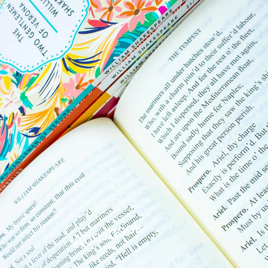 William Shakespeare Collection (22 Books Box Set)