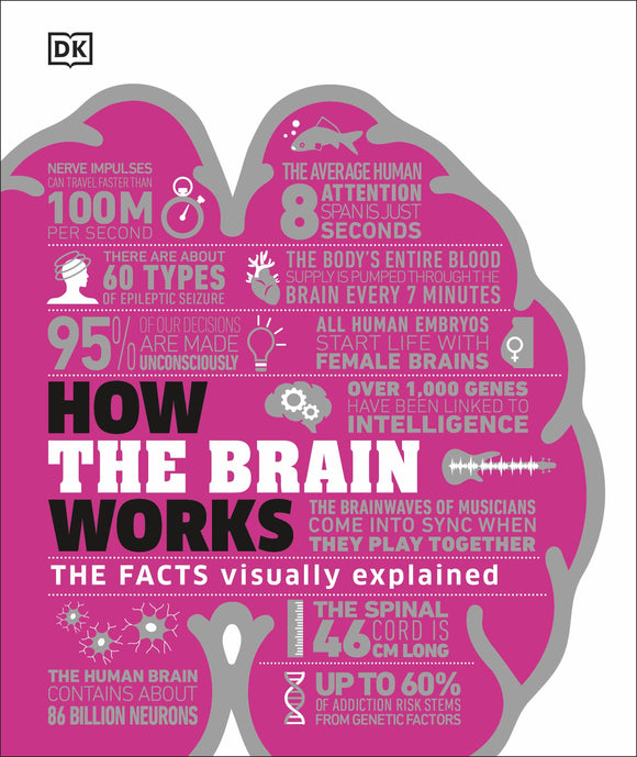 How the Brain Works -The Facts Visually Explained