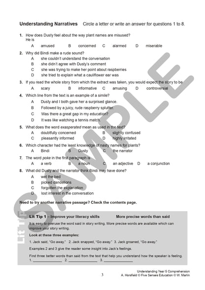 Understanding Year 5 Comprehension