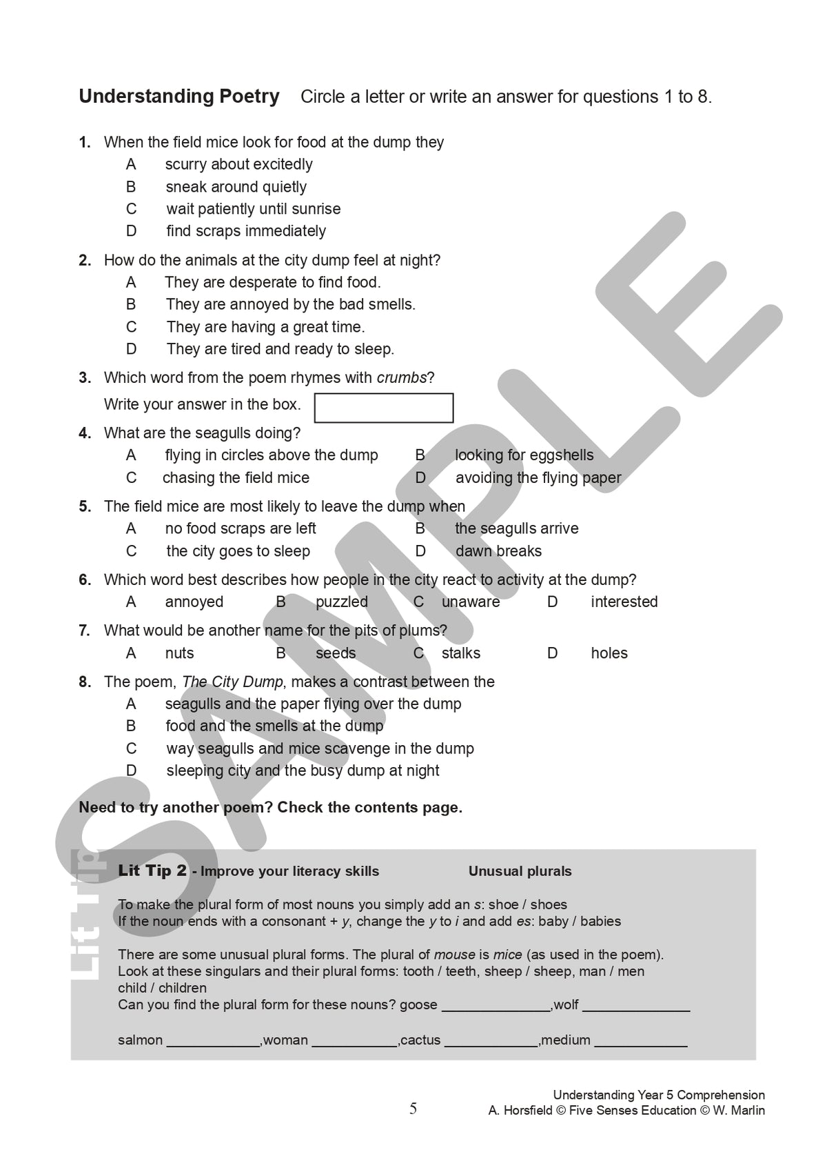 Understanding Year 5 Comprehension