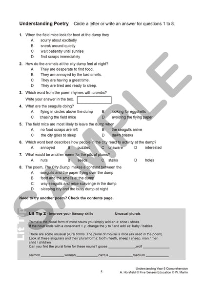 Understanding Year 5 Comprehension