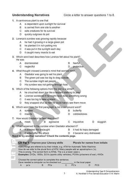 Understanding Year 6 Comprehension