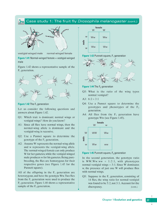 Excel Study Guide - Science Year 10 Ada's Book