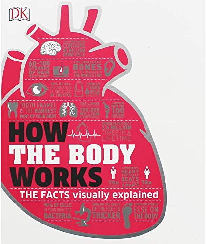 How the Body Works Ada's Book