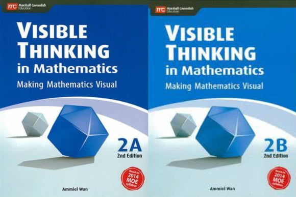 Visible Thinking in Mathematics 2A&2B (2 books)