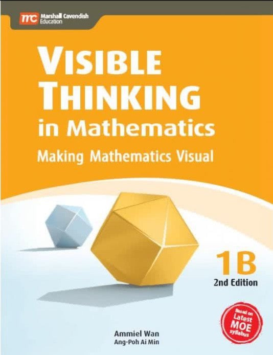 Visible Thinking in Mathematics 1B (2nd edition)